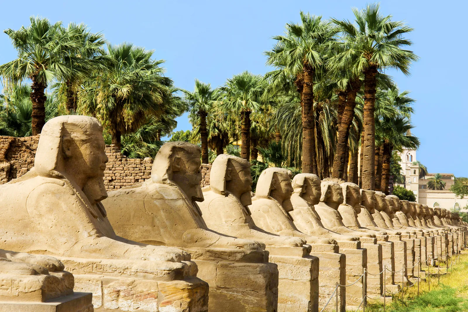 عجائب الدنيا السبع لعام 2022