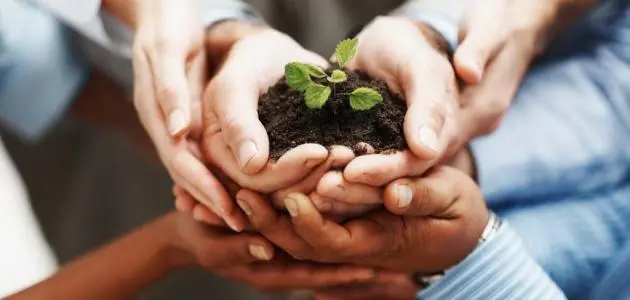 كيف أفتح مشروعاً صغيراً ناجحاً