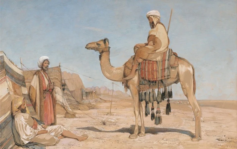 ماهو أصل العرب