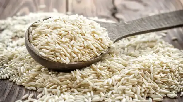 رز مصري