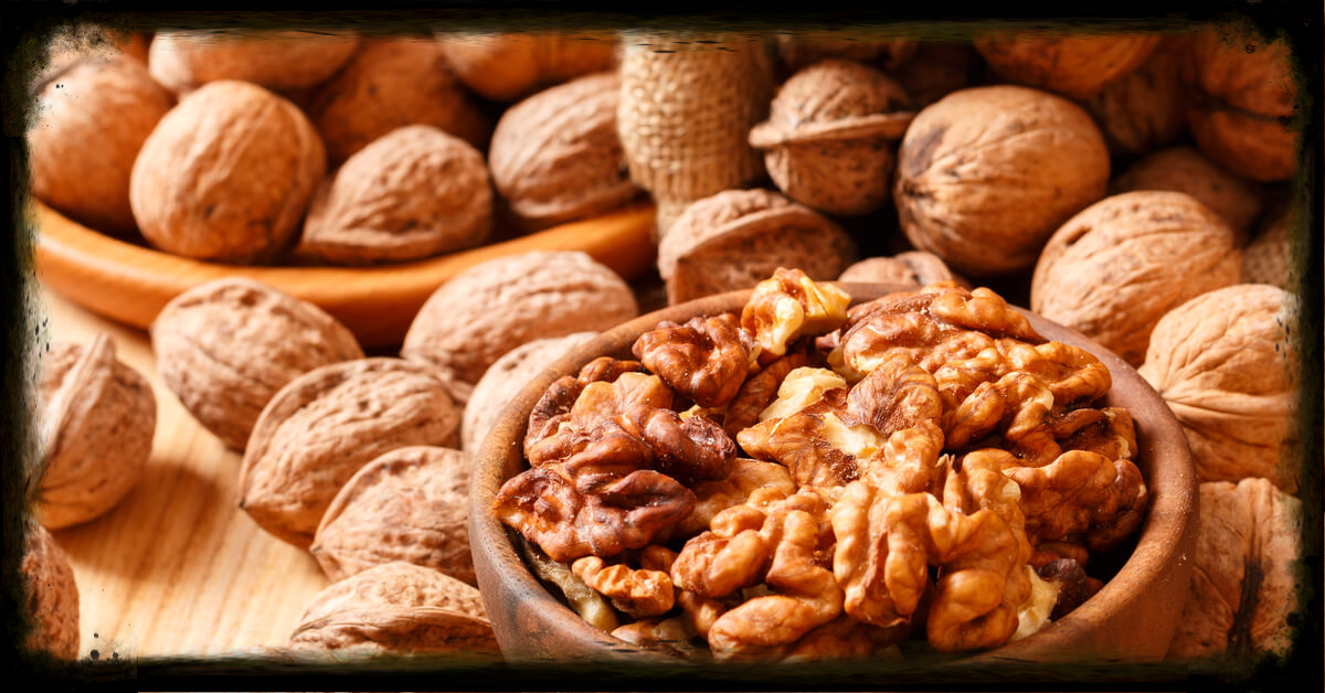 فوائد الجوز