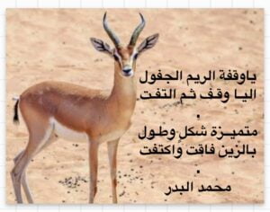 غزال الريم
