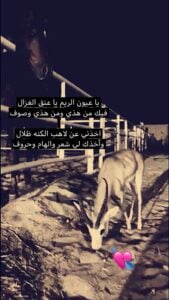 غزال الريم