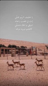 غزال الريم