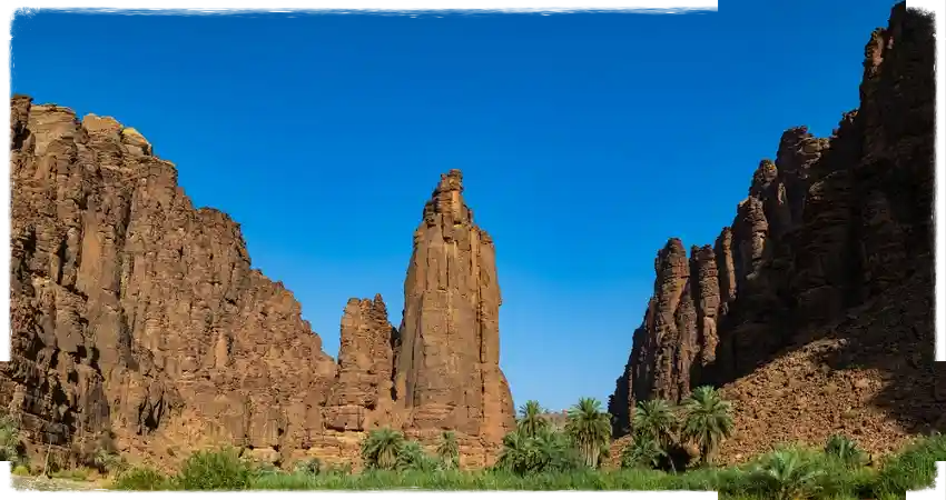 حدائق تبوك