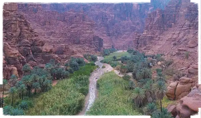 الطبيعة في تبوك