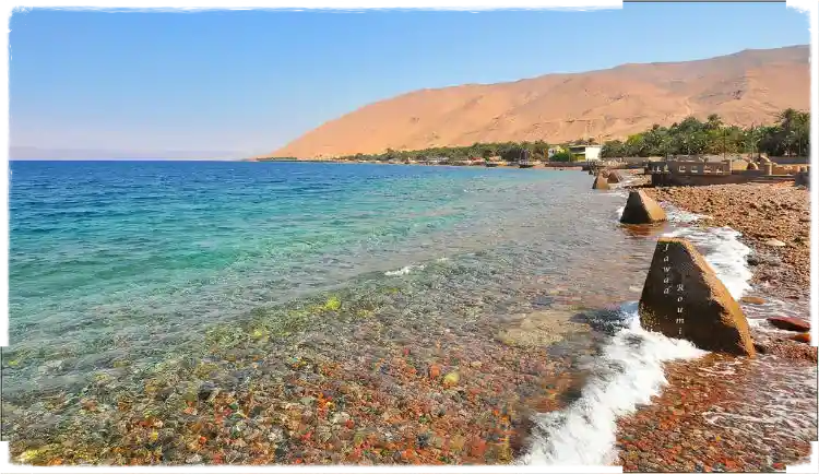 سواحل تبوك